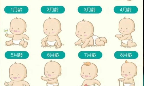 硝苯地平控释片可以换成缓释片吗专区_硝苯地平控释片和缓释片区别专区_硝苯地平缓释片1批发价格网