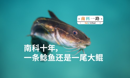 硝苯地平控释片和缓释片的区别在哪-硝苯地平控释片可以换成缓释片吗专区_硝苯地平控释片和缓释片区别专区_硝苯地平缓释片1批发价格网
