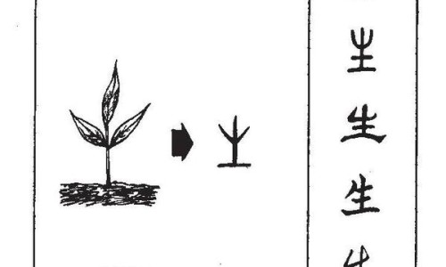 硝苯地平和缓释片有什么区别-硝苯地平控释片可以换成缓释片吗专区_硝苯地平控释片和缓释片区别专区_硝苯地平缓释片1批发价格网